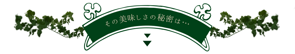 その美味しさ御秘密は